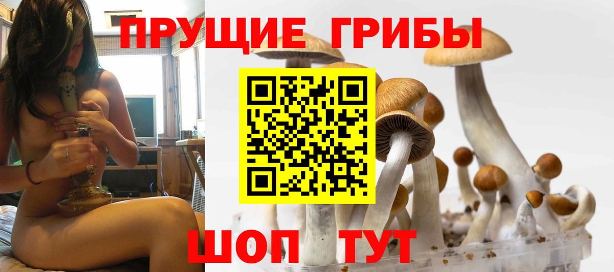 Галлюциногенные грибы мицелий Новый Уренгой