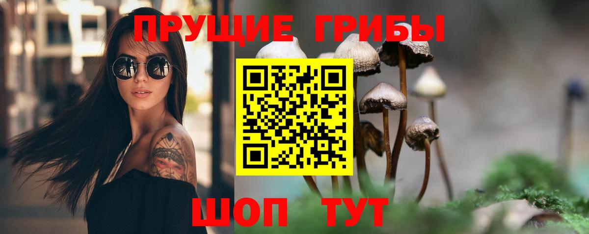 Новый Уренгой  Псилоцибиновые грибы Psilocybe  Вход с VPN 